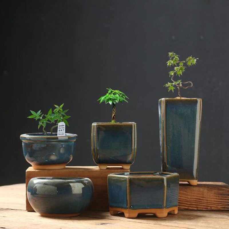 킬른 변형 유약 담글 달걀 껍질 화분 창의적인 다육 식 - Bonsai Garden Art 리뷰 및 가격